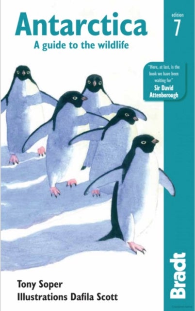 Antarctica - A Guide to the Wildlife