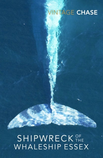 Shipwreck Of The Whaleship Essex - The true story that inspired the film In the Heart of the Sea