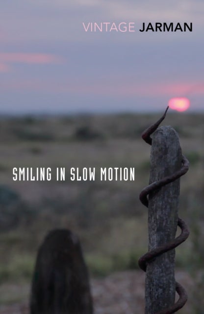 Smiling in Slow Motion - Journals, 1991–1994