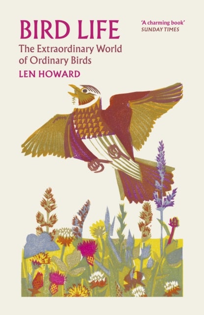 Bird Life - The Extraordinary World of Ordinary Birds