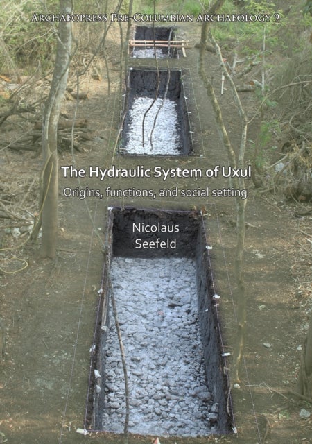 The Hydraulic System of Uxul - Origins, functions, and social setting