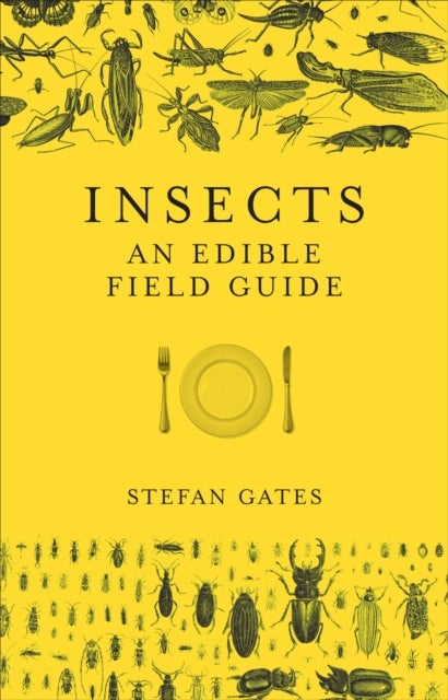 Insects - An Edible Field Guide