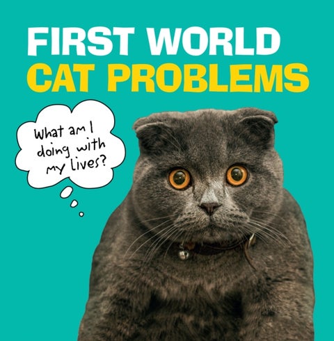 First World Cat Problems - What am I doing with my lives?