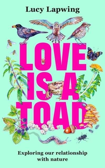 Love Is A Toad - Exploring our relationship with nature