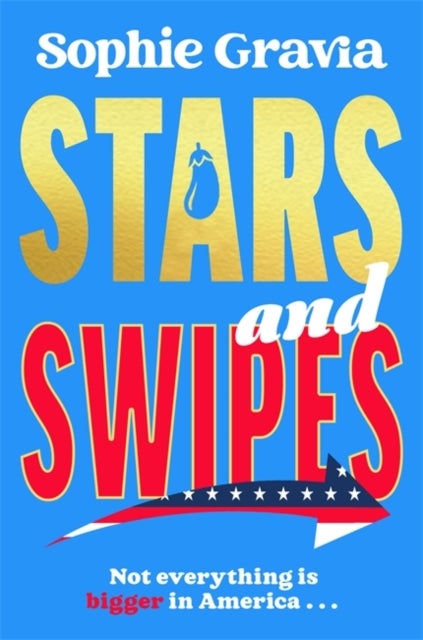 Stars and Swipes - A brand new beach read from the author of The D*cktionary Club and Hot Girl Summer