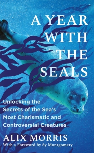 A Year with the Seals - Unlocking the Secrets of the Sea's Most Charismatic and Controversial Creatures