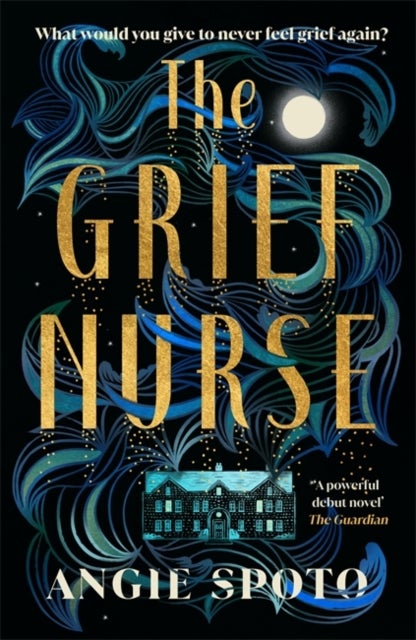 The Grief Nurse - 'A powerful debut novel' - The Guardian