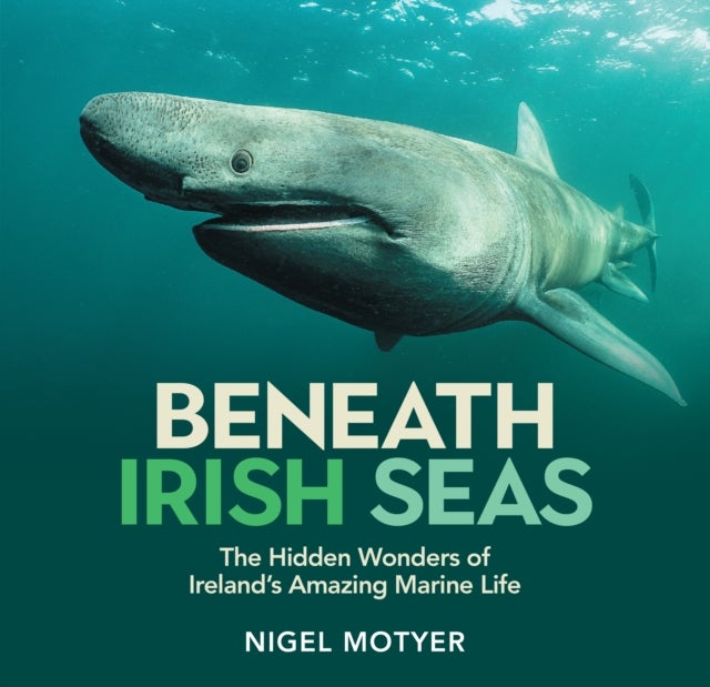 Beneath Irish Seas - The Hidden Wonders of Ireland’s Amazing Marine Life