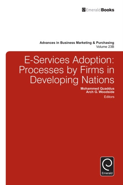 E-Services Adoption - Processes by Firms in Developing Nations