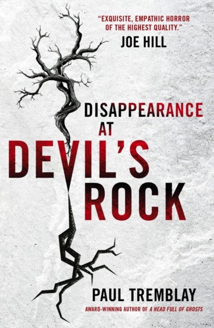 Disappearance at Devil's Rock - A Novel