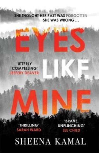 Eyes Like Mine - 'Utterly compelling . . . Will stay with you for a long, long time' Jeffery Deaver