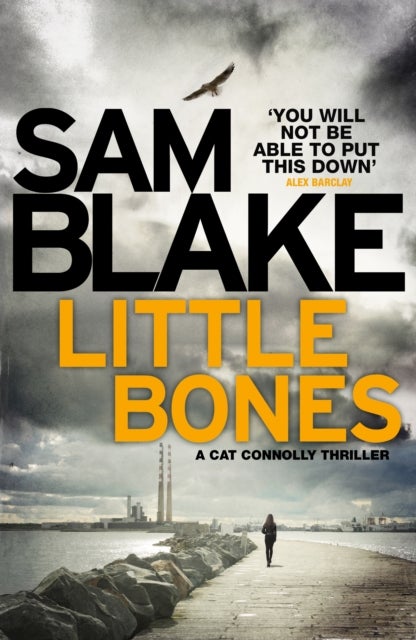 Little Bones - A disturbing Irish crime thriller