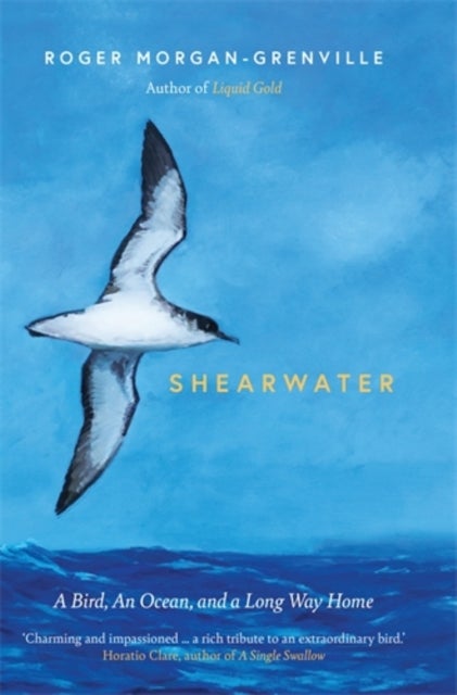 Shearwater - A Bird, an Ocean, and a Long Way Home