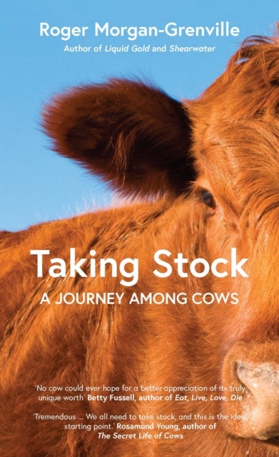 Taking Stock - A Journey Among Cows