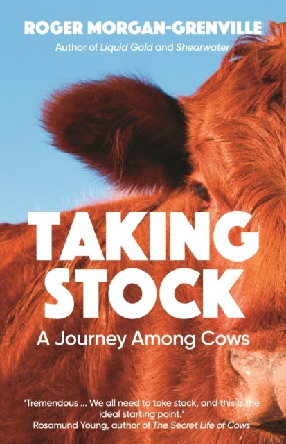 Taking Stock - A Journey Among Cows