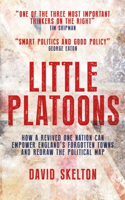 Little Platoons - How a revived One Nation can empower England's forgotten towns and redraw the political map
