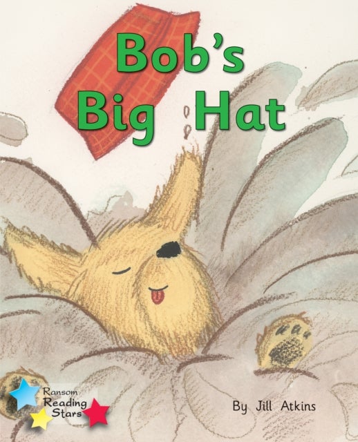 Bob and the Hat - Phonics Phase 2