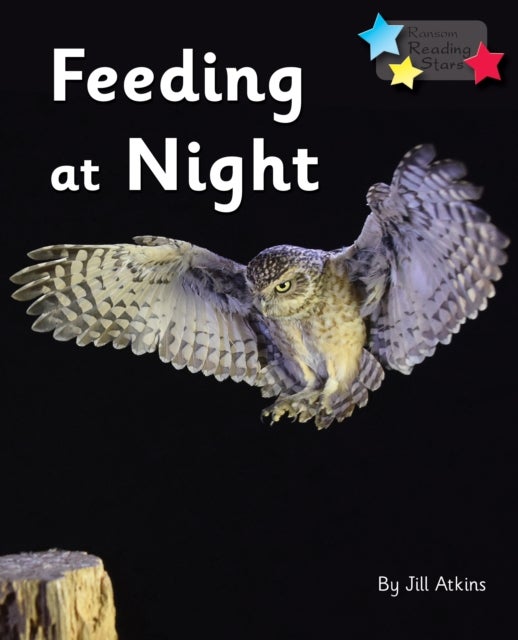 Feeding at Night - Phonics Phase 3