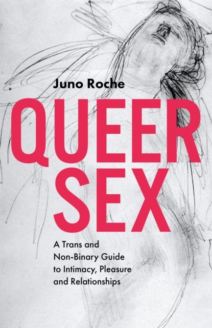 Queer Sex - A Trans and Non-Binary Guide to Intimacy, Pleasure and Relationships