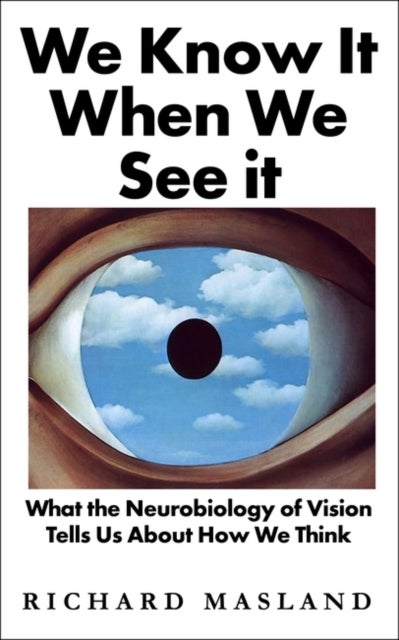 We Know It When We See It - What the Neurobiology of Vision Tells Us About How We Think