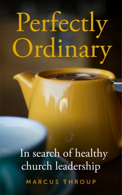 Perfectly Ordinary - In search of healthy church leadership