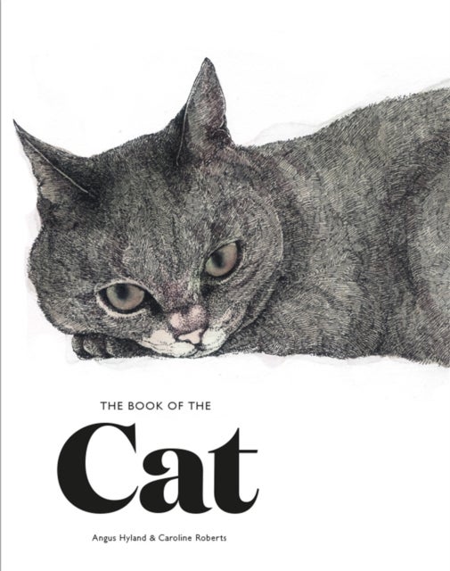 The Book of the Cat - Cats in Art