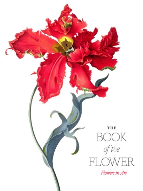 The Book of the Flower - Flowers in Art