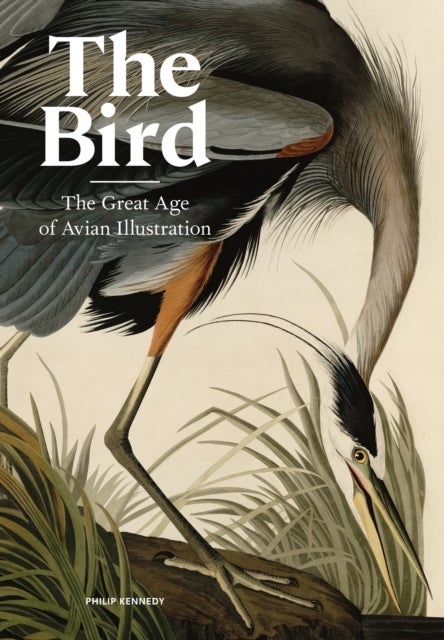 The Bird - The Great Age of Avian Illustration