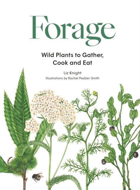 Forage - Wild plants to gather and eat