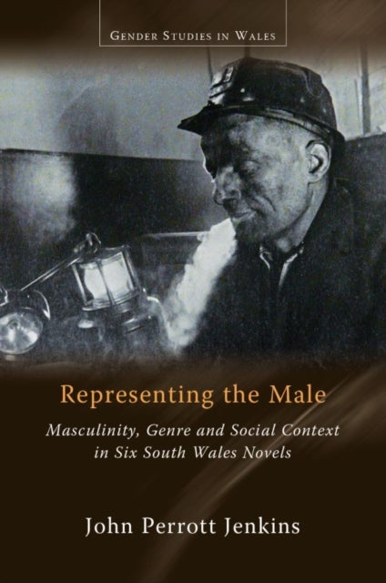 Representing the Male - Masculinity, Genre and Social Context in Six South Wales Novels