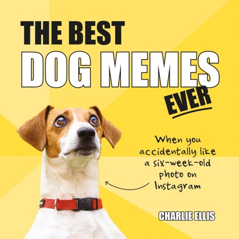The Best Dog Memes Ever - The Funniest Relatable Memes as Told by Dogs