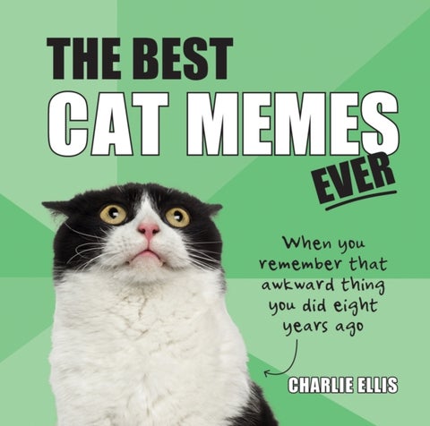 The Best Cat Memes Ever - The Funniest Relatable Memes as Told by Cats
