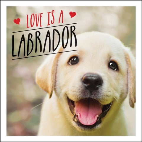 Love is a Labrador - A Lab-Tastic Celebration of the World's Favourite Dog