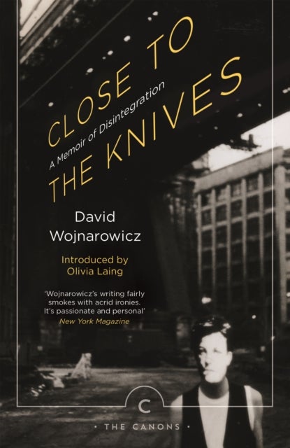 Close to the Knives - A Memoir of Disintegration