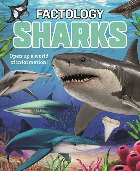 Factology: Sharks - Open Up a World of Information!
