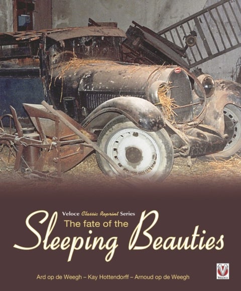 The Fate of the Sleeping Beauties