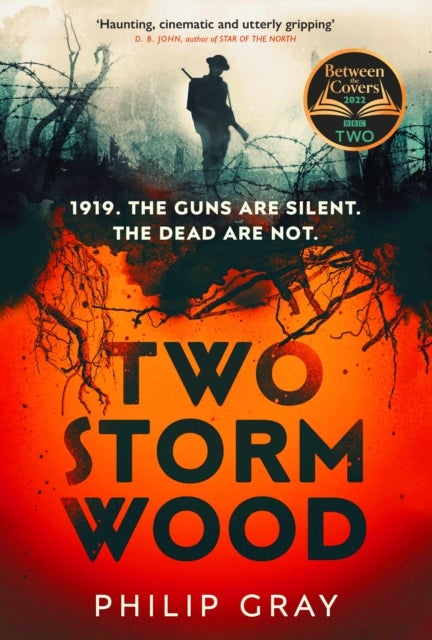 Two Storm Wood - Uncover an unsettling mystery of World War One in the The Times Thriller of the Year