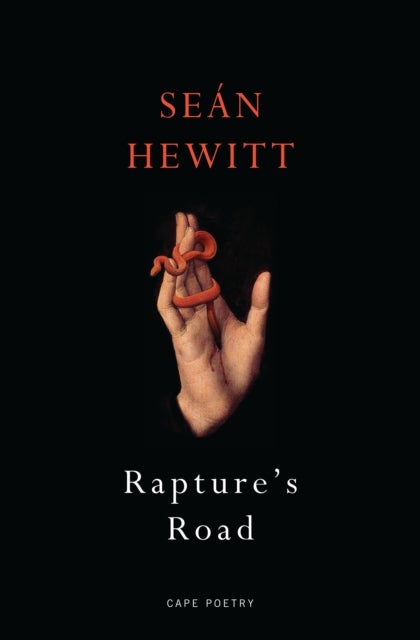 Rapture's Road - From the author of All Down Darkness Wide
