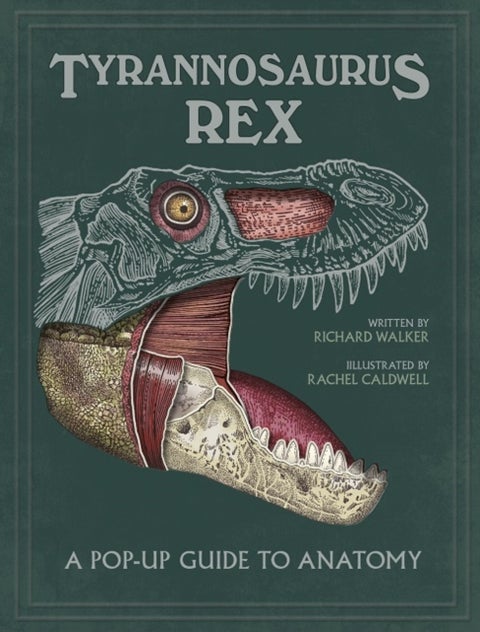 Tyrannosaurus rex - A Pop-Up Guide to Anatomy