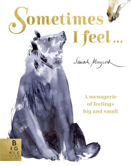 Sometimes I Feel... - A Menagerie of Feelings Big and Small
