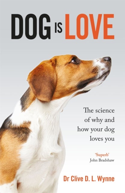 Dog is Love - Why and How Your Dog Loves You