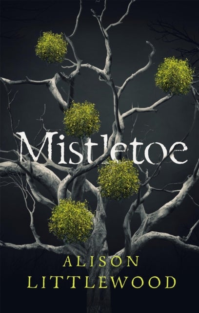 Mistletoe - 'The perfect read for frosty nights' HEAT