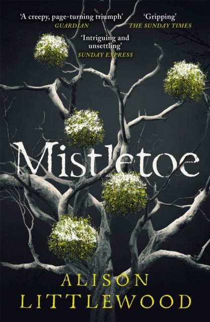 Mistletoe - 'The perfect read for frosty nights' HEAT