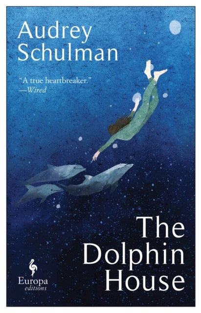 The Dolphin House - A moving novel on connection and community
