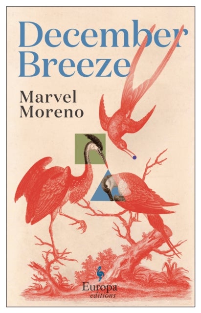 December Breeze - A masterful novel on womanhood in Colombia