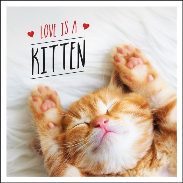Love is a Kitten - A Cat-Tastic Celebration of the World's Cutest Kittens