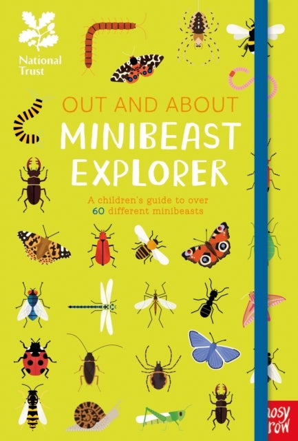 National Trust: Out and About Minibeast Explorer - A children’s guide to over 60 different minibeasts