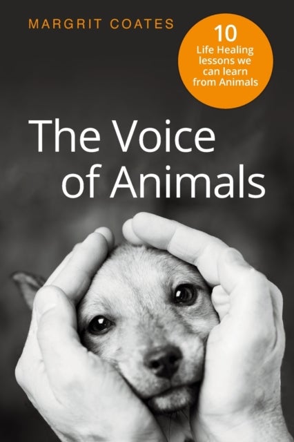 The Voice of Animals - 10 Life-Healing Lessons We Can Learn From Animals