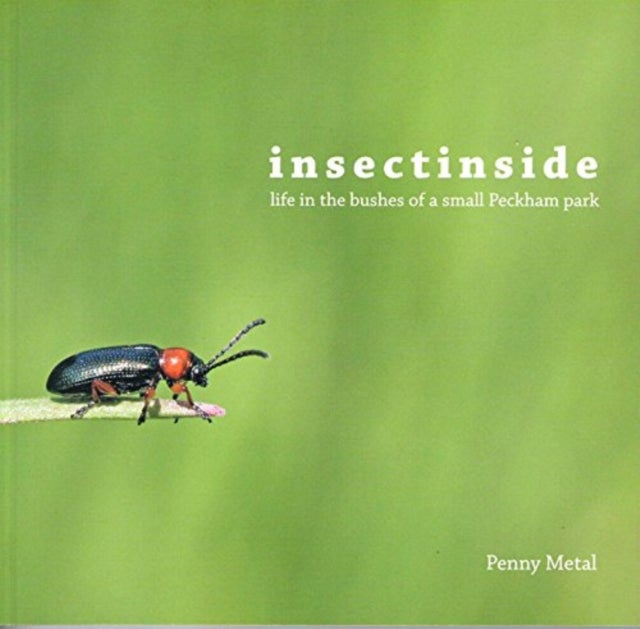 Insectinside - Life in the Bushes of a Small Peckham Park