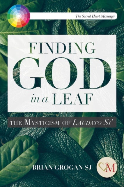 Finding God in a Leaf - The Mysticism of Laudato Si'